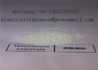 Muscle Building Testosterone Raw Powder Testosterone Enanthate CAS 315-37-7 With Fast And Safety Delivery