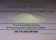 High Purity Testosterone Phenylpropionate Testosterone Raw Steroid Powder CAS 1255-49-8 China Suppliers