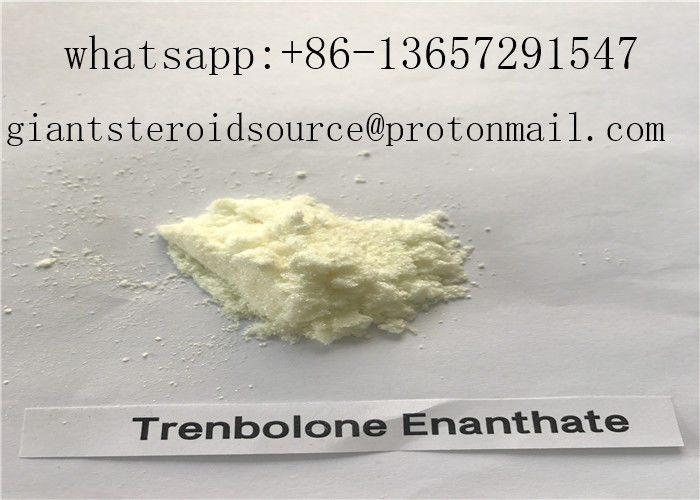 Trenbolone Enanthate CAS: 1629618-98-9 Trenbolone Acetate Powder Hexahydr Obenzyl Carbonate